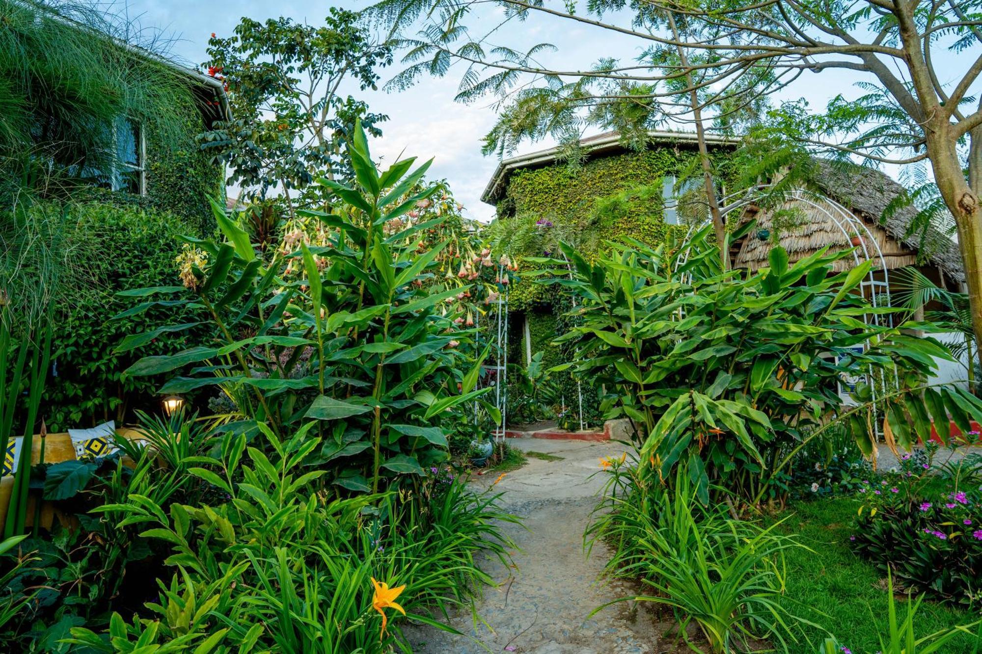 Dan Stam Hotel Arusha Eksteriør bilde